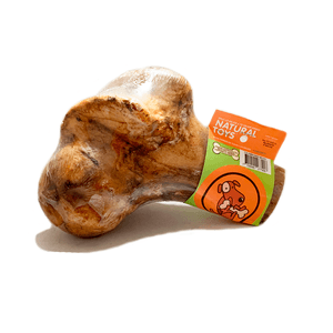 MEDIO - CALAMBOMBO, Hueso Deshidratado Femur de Res