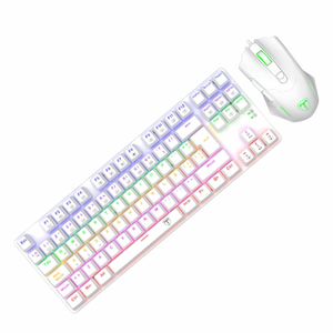 Combo teclado y mouse gaming T-TGS005W-RD T-Dagger Advance force USB blanco