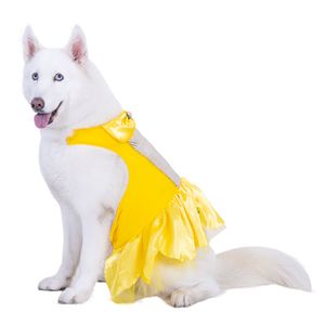 Disfraces Mascostas Bella Princesa  983