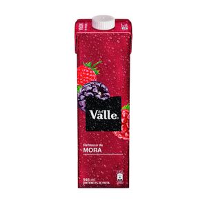 JUGO DEL VALLE MORA