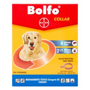 COLLAR BOLFO