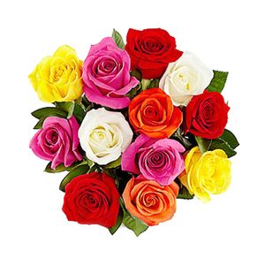 Bouquet de 12 Rosas Impresionista