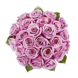 Bouquet de 24 Rosas Moradas