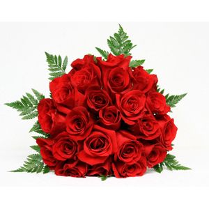 Bouquet de 18 Rosas Rojas