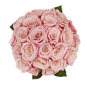 Bouquet de 24 Rosas Rosadas