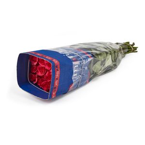Paquete Rosas Rojas