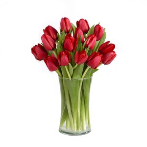 Jarrón 15 Tulipanes Rojos